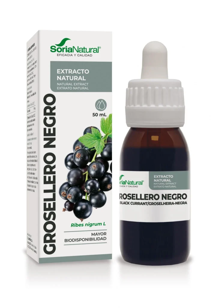 Soria Natural Mustaviinimarjauute Grosellero XXI, 50 ml